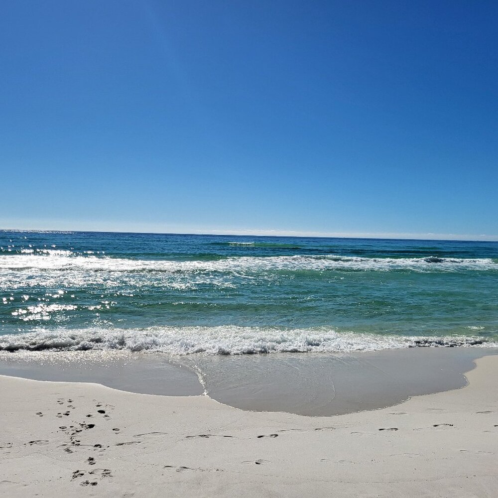 Meet your Posher, seashelly98